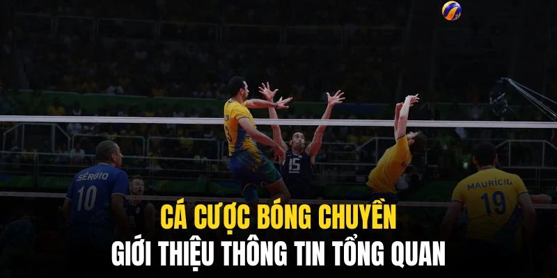Hình thức nhận được sự ủng hộ đông đảo của cộng đồng bet thủ