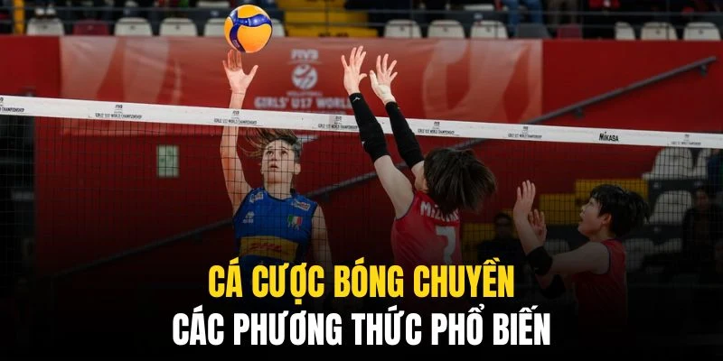 Các phương thức cá cược bóng chuyền rất đa dạng và phong phú